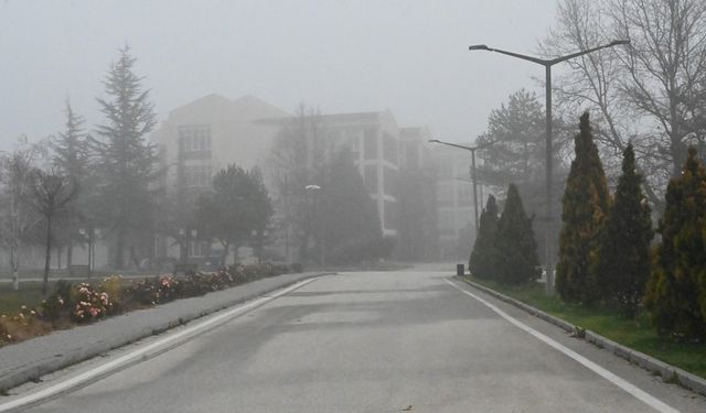Eskişehir'de sis etkili oldu