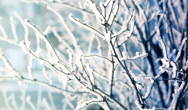O bölgelere Meteoroloji'den don ve kuvvetli yağış uyarısı!