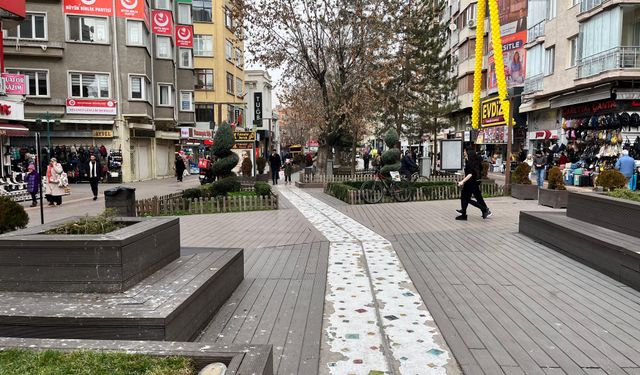 Hamamyolu'ndaki banklar neden boş? Kuş pisliği vatandaşı oturtmuyor