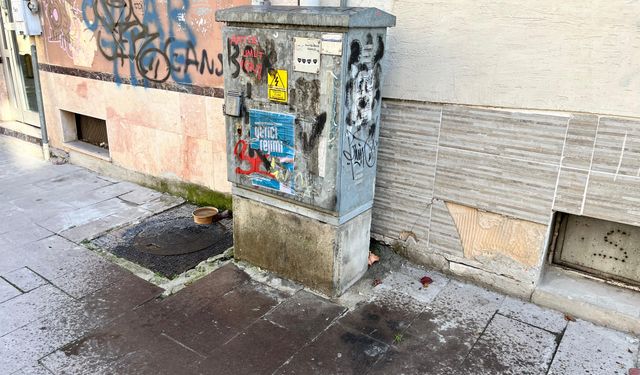 Bu elektrik panosu tehlike yaratıyor!