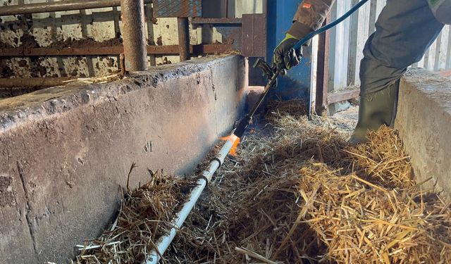 Besiciler donan borularla mücadele ediyor