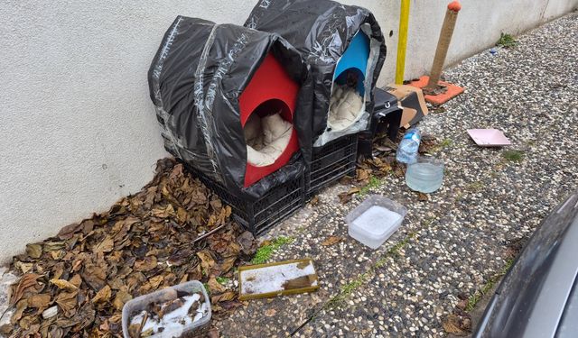 Vatandaşların örnek davranışı takdir topladı