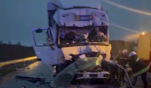 Türk tır sürücüsü hayatını kaybetti