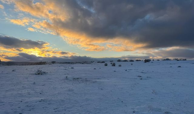 Çimsa’dan Eskişehir kararı: Bozüyük sahası ruhsatı iptal ediliyor