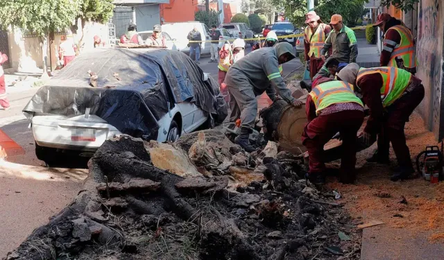 Meksika’da 6.5 büyüklüğünde deprem!