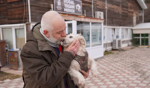 Eskişehir’de 625 patili dost sıcak yuvaya kavuştu