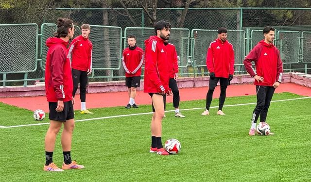 Anadolu lideri devirmeye gidiyor!