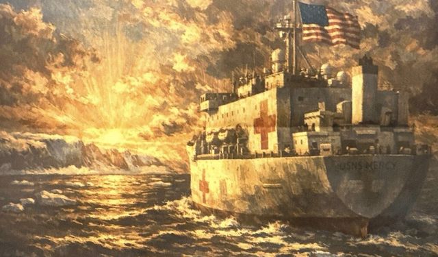 ABD'den Grönland'a hastane gemisi