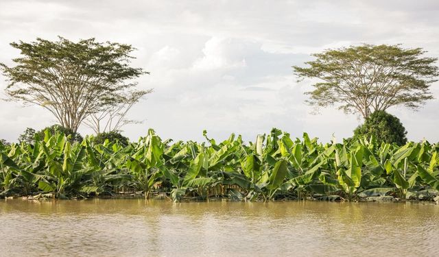 Kolombiya'da ülke genelindeki sellerde 6 kişi hayatını kaybetti
