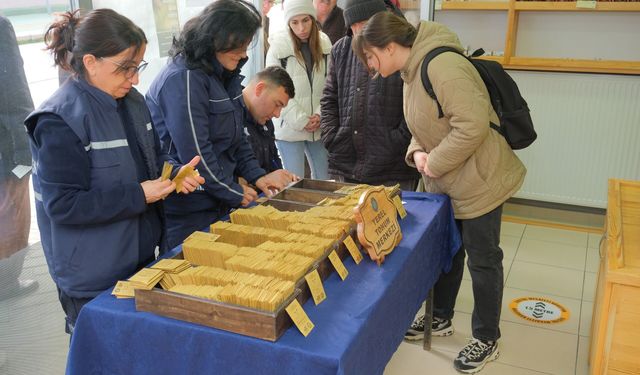 Eskişehir’de ata tohumları yeniden toprakla buluşuyor
