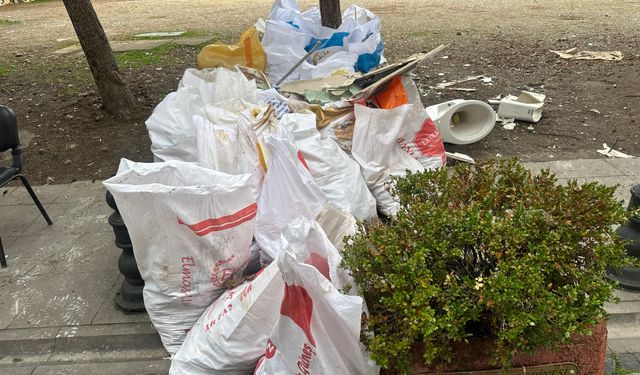 Moloz yığını çevre kirliliğine neden oldu!