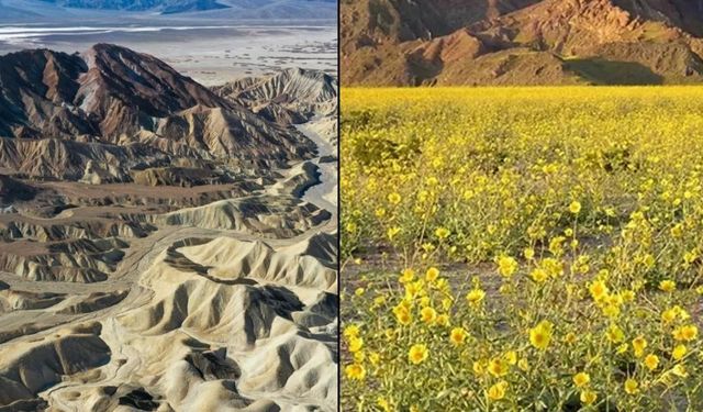 Kıyamet kapıda mı? Çölün ortasında renk cümbüşü