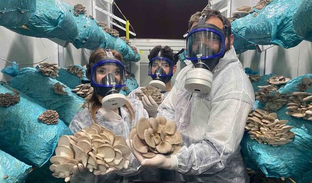 1 tona yakın hasat elde ediyor