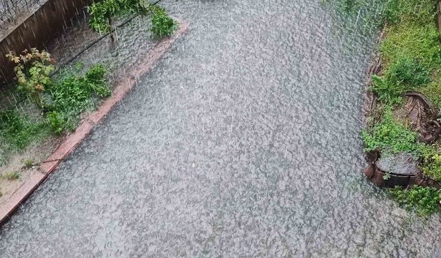 Yağmur sele neden oldu