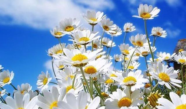 Üçüncü cemre ne zaman düşecek?