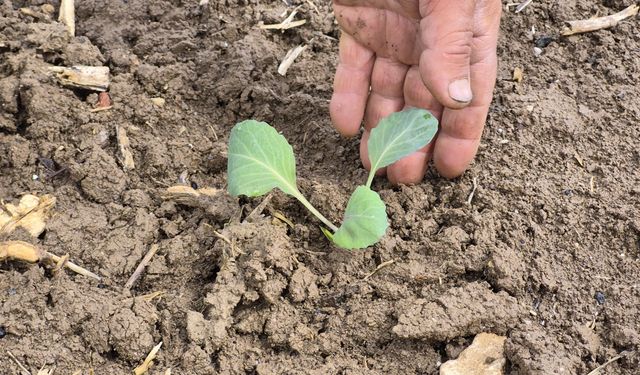 Eskişehir'de yılın ilk tohum ve fideleri toprakla buluştu