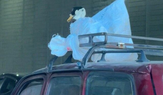 Bu yolculuk görenleri hayrete düşürdü!