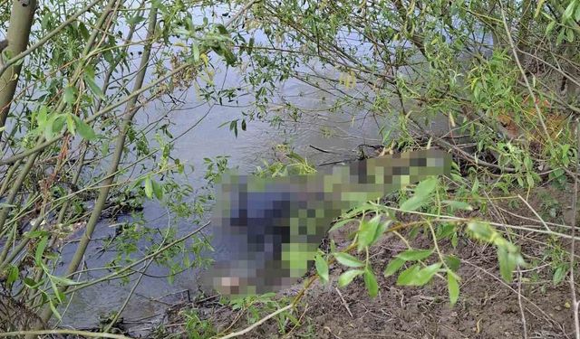 Asi Nehrinde kimliği belirsiz erkek cesedi bulundu