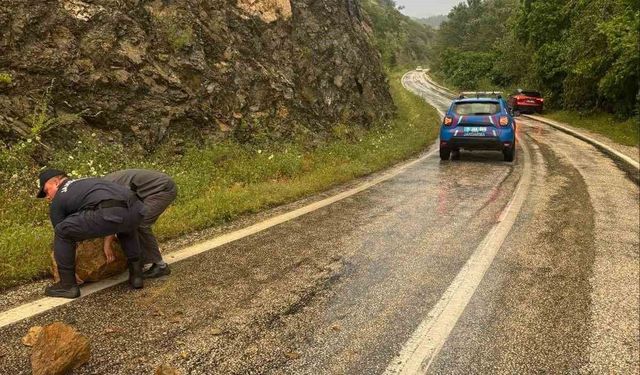 Aşırı yağış sonrası kayalar yola düştü
