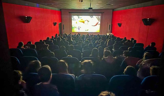 252 bin kişi sinemaya gitti