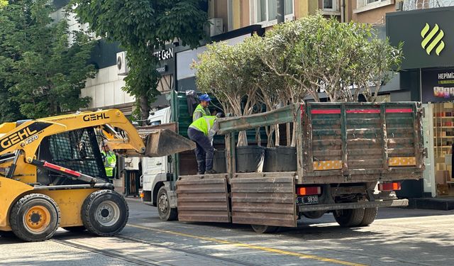 Eskişehir'in o caddesinde bitki düzenlemesi yapıldı