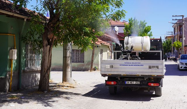 Açık alanlarda ilaçlama mesaisi