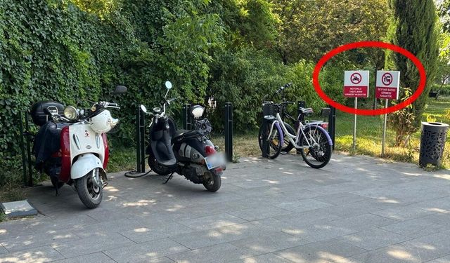 Millet Bahçesi'nde park tepkisi!