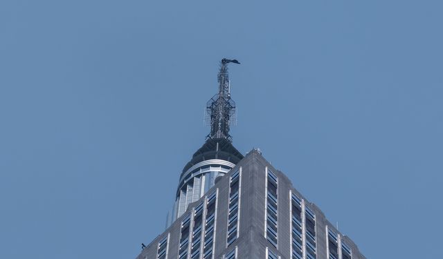 Empire State binasında tehlikeli evlilik teklifi