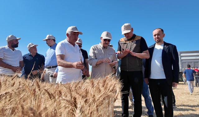 Biçerdöver kullanan Fatih Dönmez’den Eskişehir tarımı için umut veren açıklama
