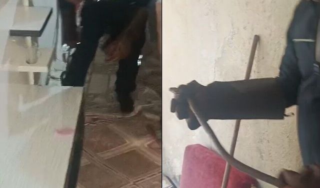 Eve giren yılan paniğe neden oldu