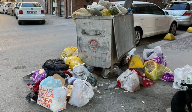 Çöp tepkisi!