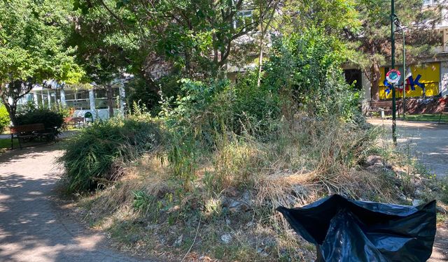 Eskişehir’de Eti Park bakım bekliyor