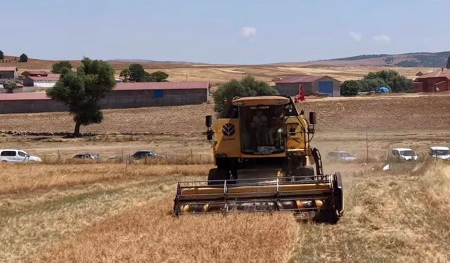 18 yerli nohut çeşidi üreticiyle buluştu