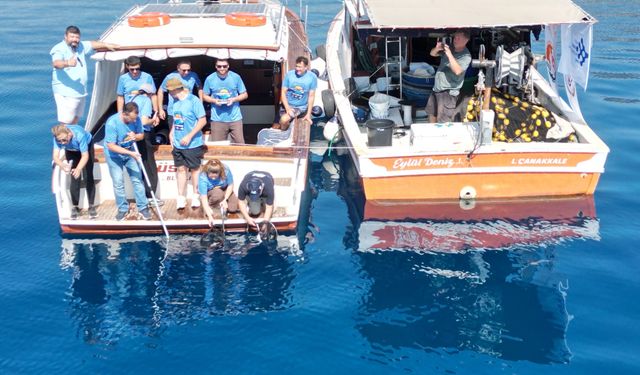 Eskişehir’de doğan köpek balıkları denize bırakıldı