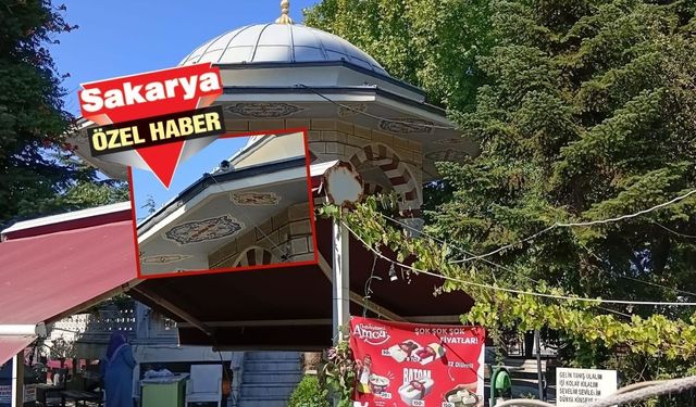 Şadırvanda mahsur kalan kedi için yardım çağrısı