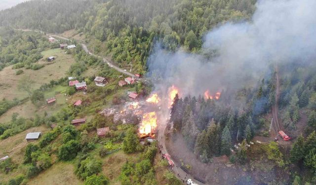 Kastamonu'daki köy yangınında 9 ev küle döndü