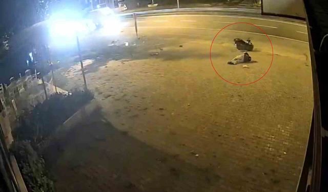 Motosiklet sürücüsü trafik levhasına çarptı