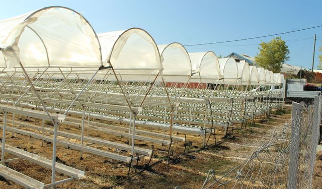 Türkiye'ye ilham verecek merkez açıldı