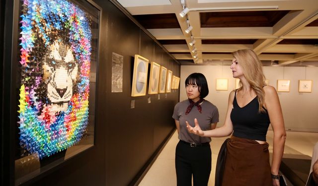 Japon diplomat müzelere hayran kaldı