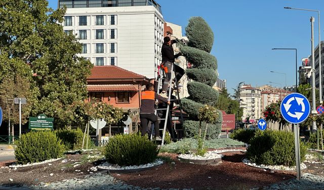 Hatboyu’nda peyzaj çalışması