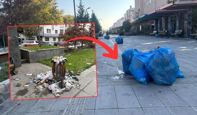 Hatboyu'nda çöp tepkisi sonuç verdi!