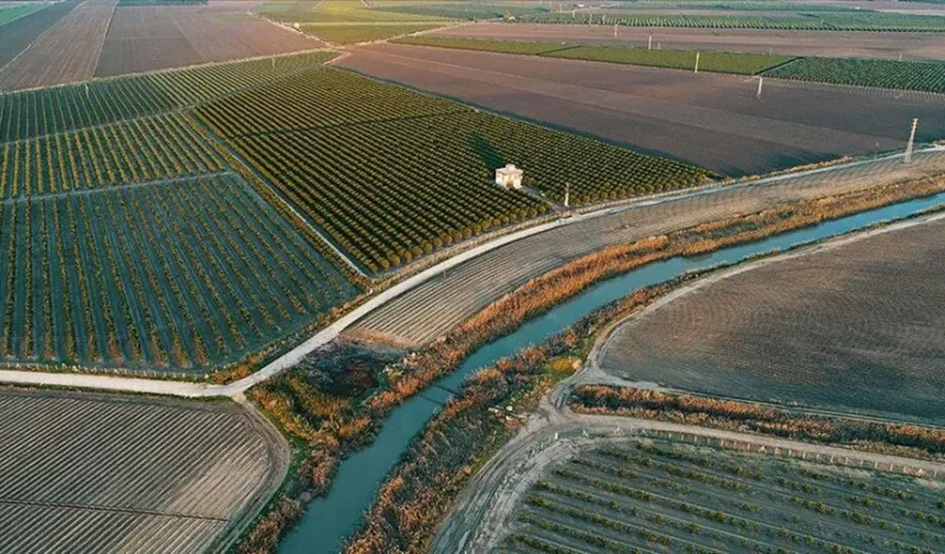Eskişehirli üreticiden dikkat çeken uyarı: 10 liralık domates 80 liraya satılıyor