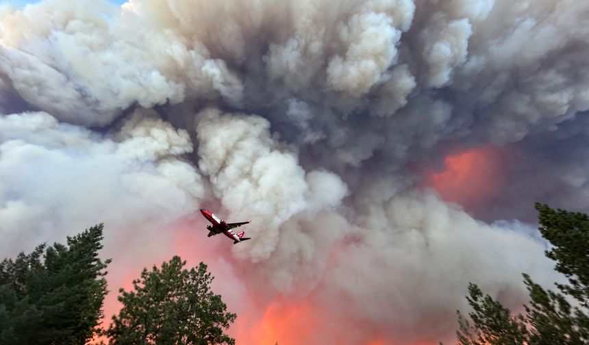 California'nın en büyük orman yangını!
