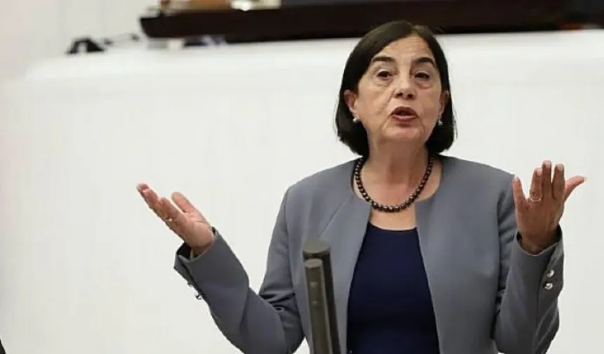 CHP Milletvekili Süllü'den 'orman ihalesi' tepkisi