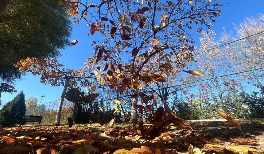 Eskişehir'deki o parkta sonbahar güzelliği