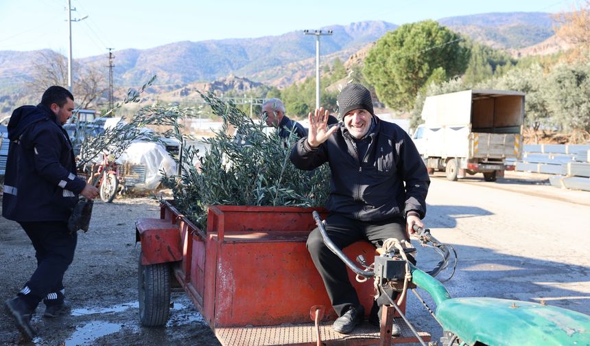 Eskişehir'in o ilçelerine 17 bin zeytin fidanı dağıtıldı!