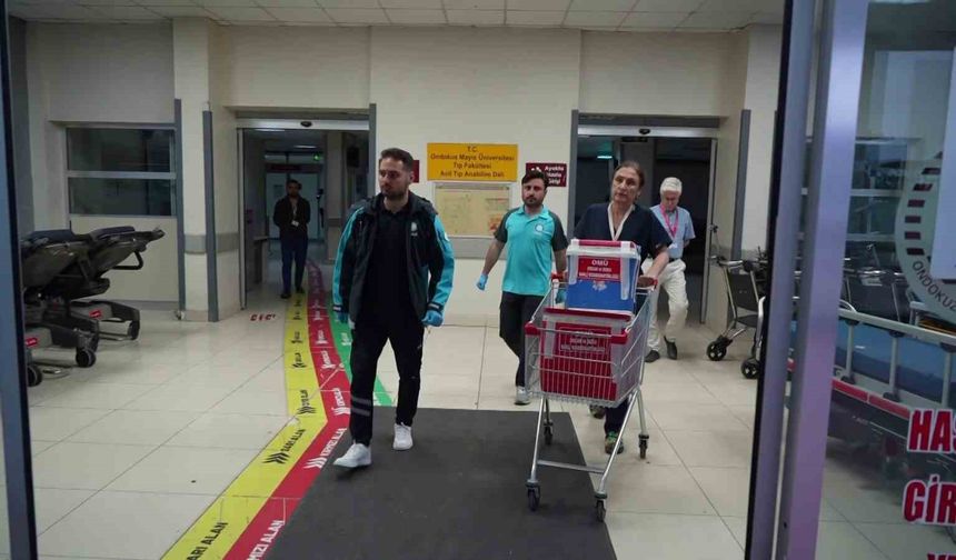 Minik Semih’in organları 3 çocuğa umut oldu