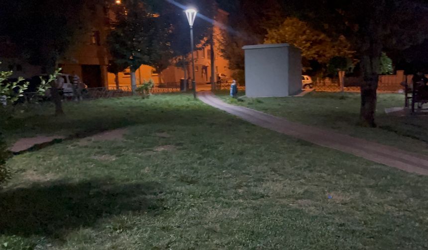 Eskişehir'de parkta silahlı kavga! Güvenlik kameralarına yansıdı