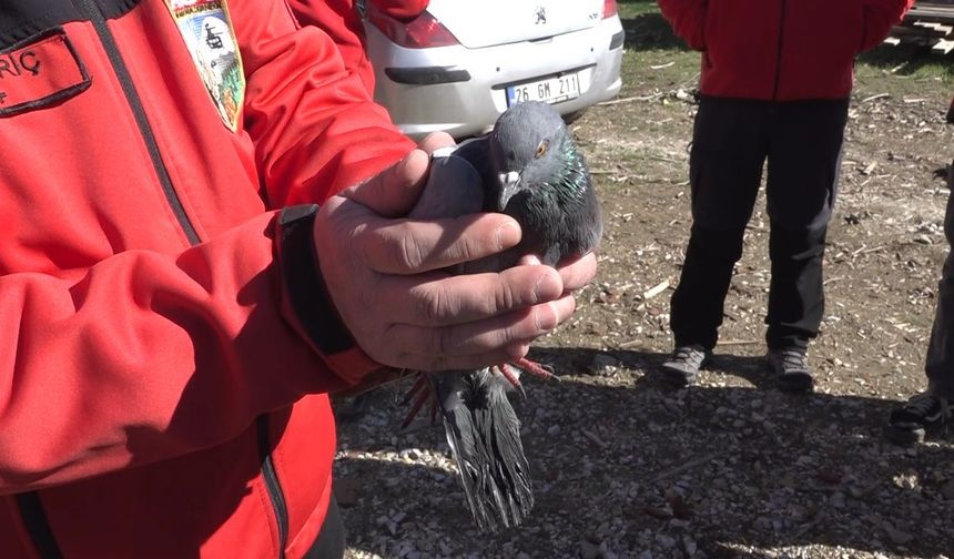 Havalandırma boşluğuna düşen güvercin kurtarıldı