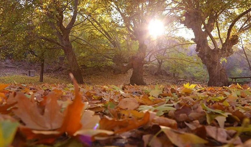Aman dikkat! Havalar bir ısınacak bir soğuyacak...